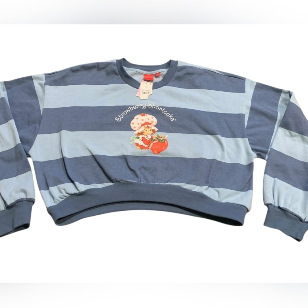 NWT Strawberry Shortcake Striped Cropped‎ Sweatshirt XL Mad Engine Coquette